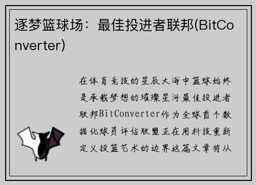 逐梦篮球场：最佳投进者联邦(BitConverter)
